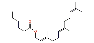 (E,E)-3,7,11-Trimethyl-2,6,10-dodecatrienyl hexanoate